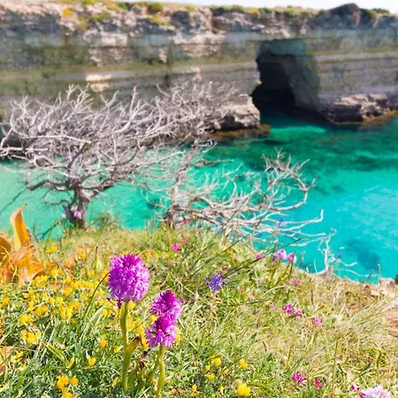 Casa Vacanze Noemi A Salento 5 Posti Appartement Otranto